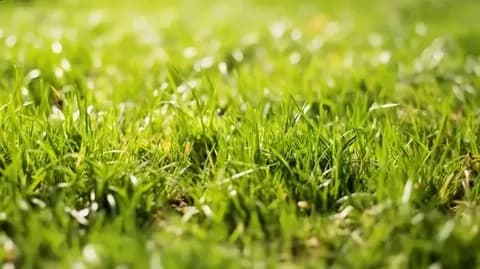 5-nji oktýabr: Amulda gyzykly maglumatlar