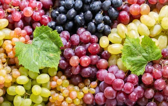 The Health Benefits of Grapes: Nature’s Sweet Remedy