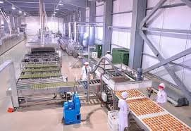 The Role of Private Entrepreneurship in Türkmenabat: Masters of Sweet‑Confectionery Products “Şerbet”