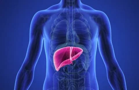 Три из пяти случаев рака печени можно предотвратить — считают ученые
