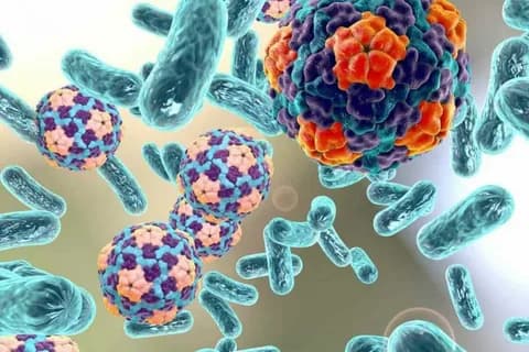 Currently, extensive measures are being implemented in our country to prevent infectious diseases