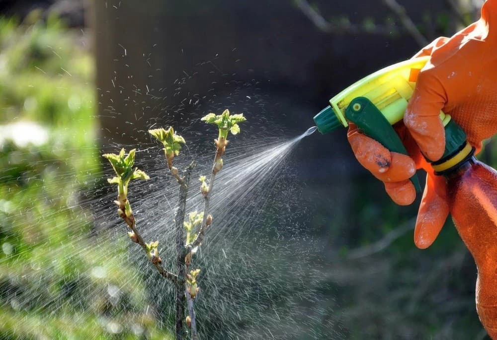 Research Ongoing in Turkmenistan to Develop Agents Against Soil Salinization