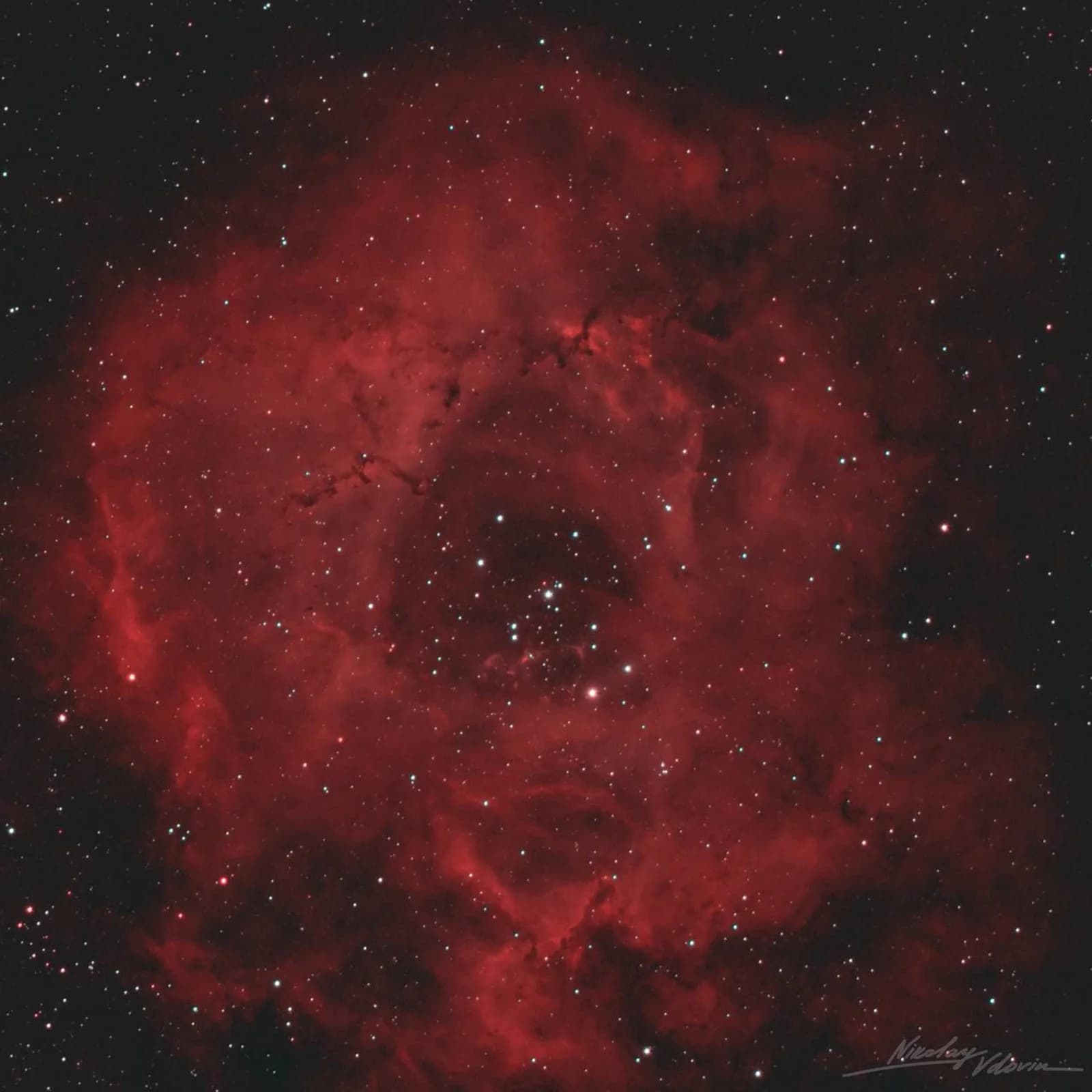 Flowers of Universal Scale: Roscosmos Reveals the Most Beautiful Nebulae for March 8