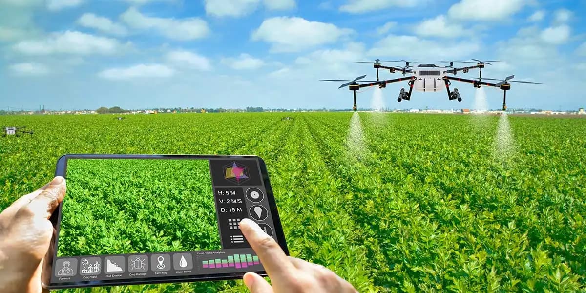 Chinese-made drones contribute to the development of global agriculture