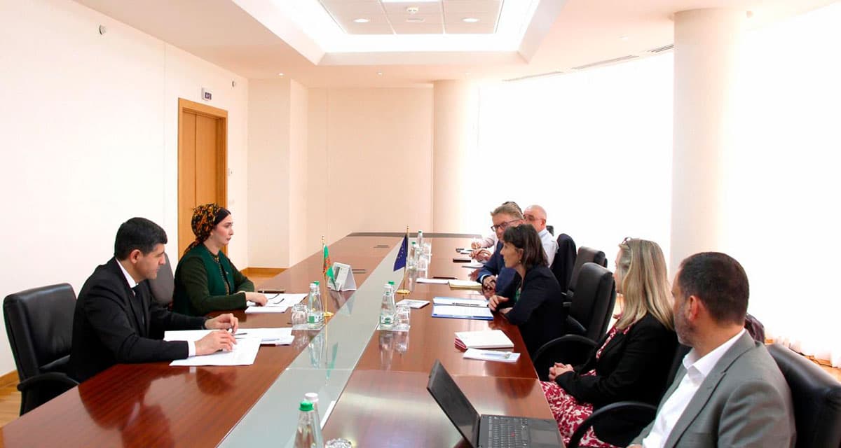Meeting with the Head of the Unit for Central Asia and Afghanistan of the European Commission's Directorate-General for International Partnerships