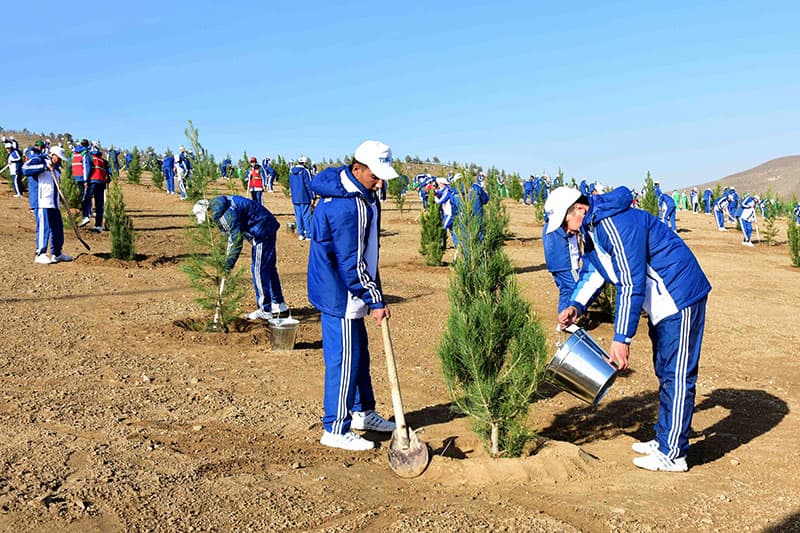 Nationwide tree planting ceremony scheduled for March 21, 2026, in Turkmenistan