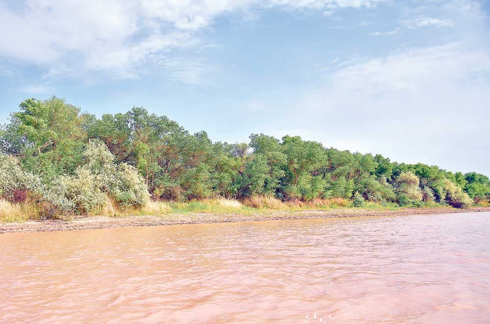 Su — yaşam kaynağı