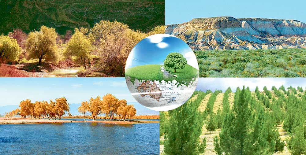 Confident Steps Towards a Green Future