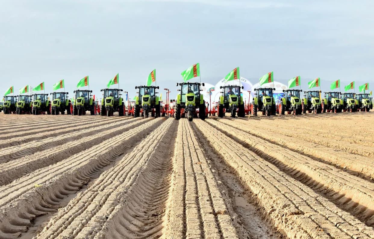 Türkmenistanda 25-nji martda gowaça ekişine girişiler