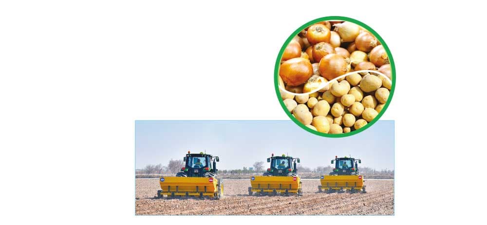 A Foundation for a Bountiful Harvest