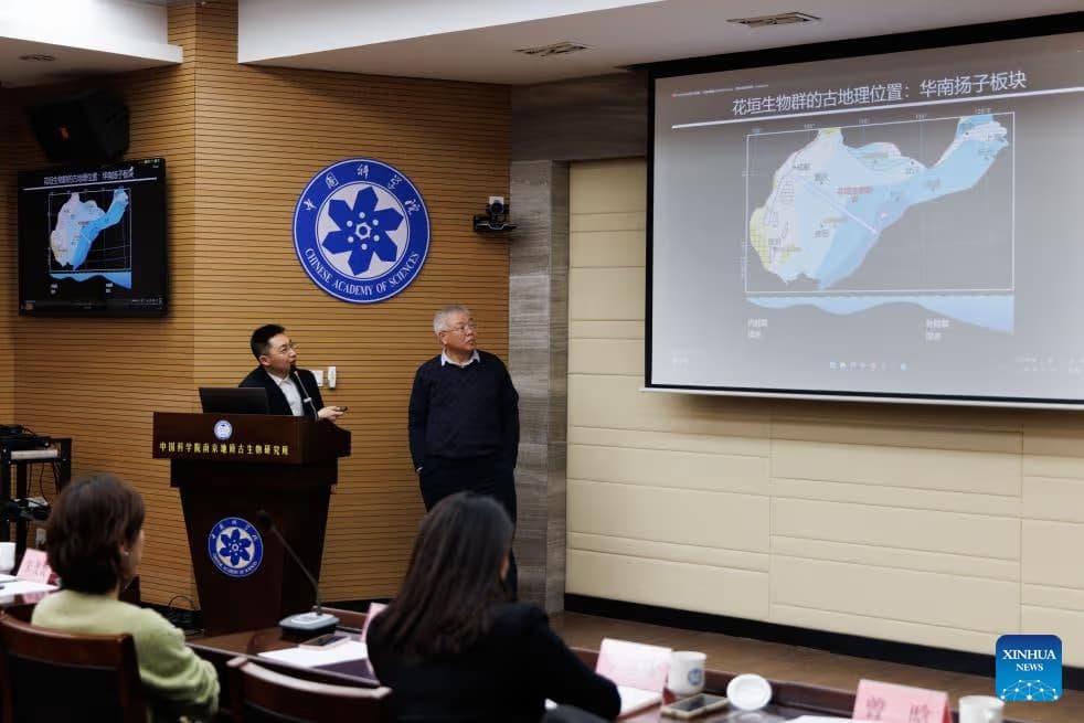 Half-a-billion-year-old marine ecosystem fossils discovered in China