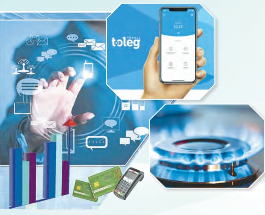 "Türkmengazüpjünçilik" Association: Establishing an Electronic Payment System for Natural Gas Consumption