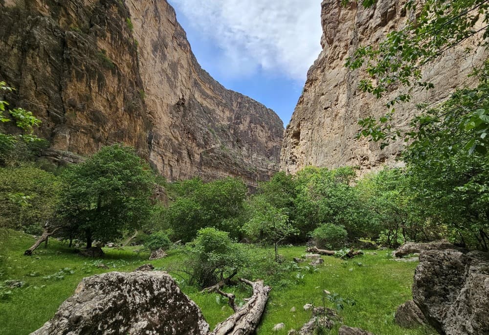 Köýtendag doğal şifaların sırlarını açıyor