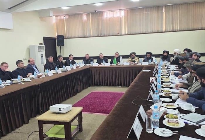 Turkmenistan and Afghanistan delegations discussed energy projects in Herat