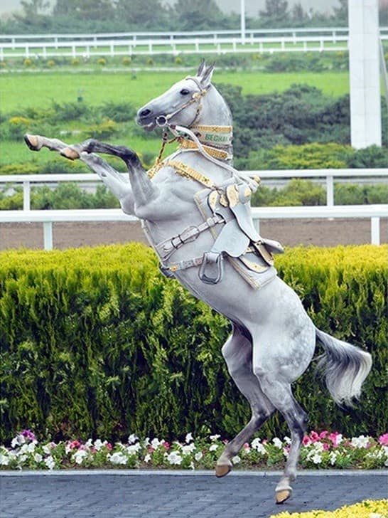 CIS Member States Invited to Participate in the TV Competition “Horse’s Grace: Strength and Beauty”