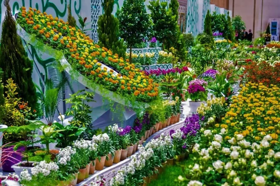 Turkmenistan Prepares to Honor Mothers of Large Families