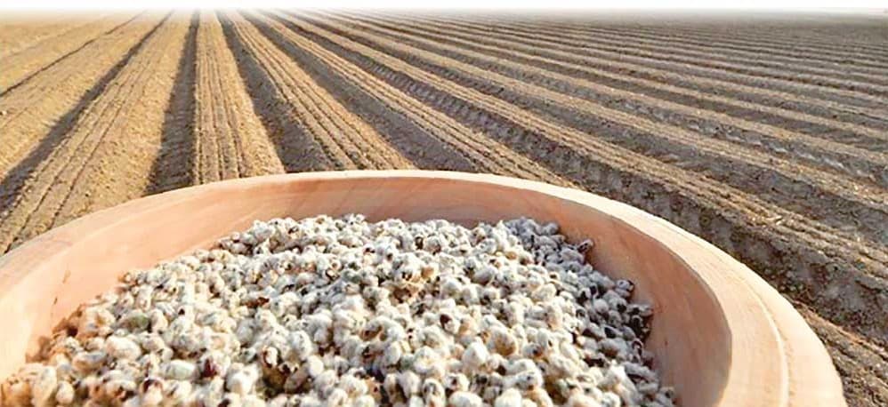 Issues related to the work carried out in the country's agricultural complex and provinces were reviewed