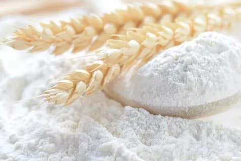 Over 6 Thousand Tons of Flour Produced at "Göroglygallaönümleri" Enterprise