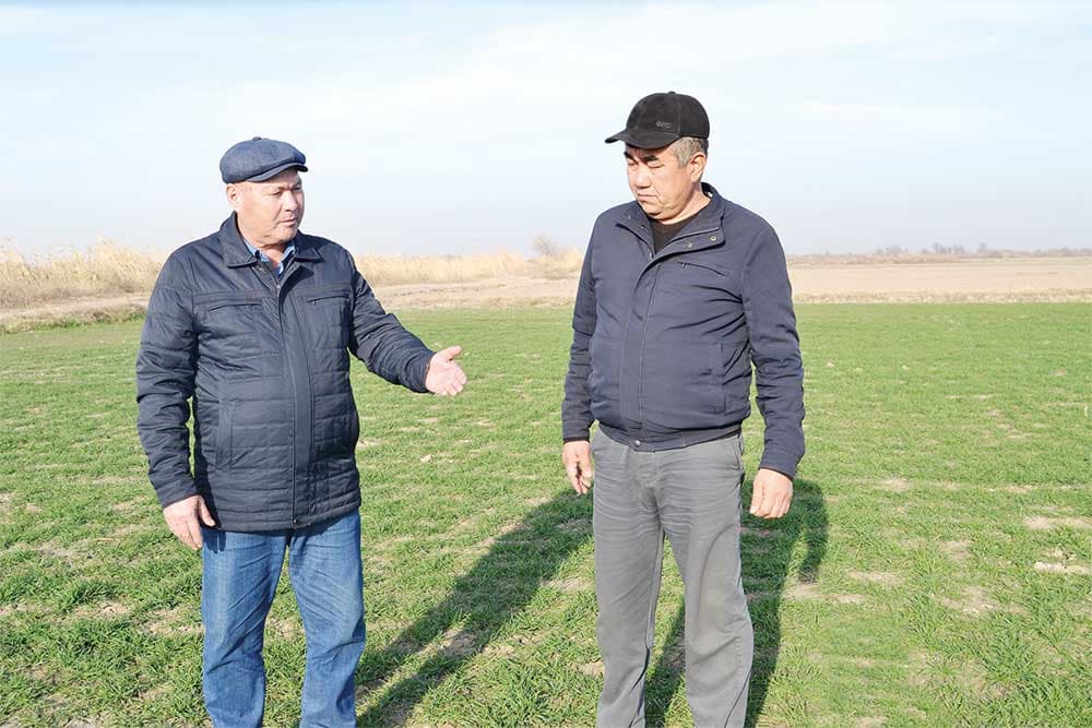 Мать-земля — сокровище