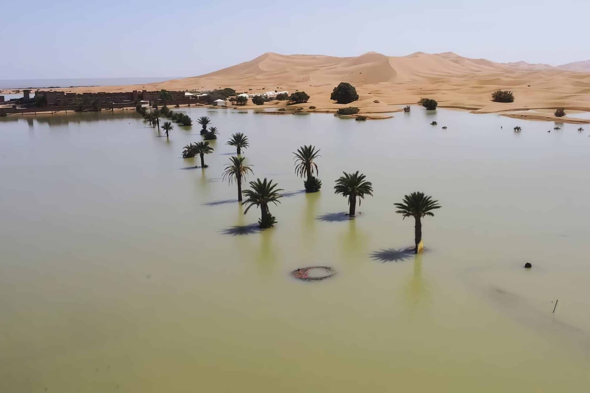 Scientists predict a rainy future for the Sahara