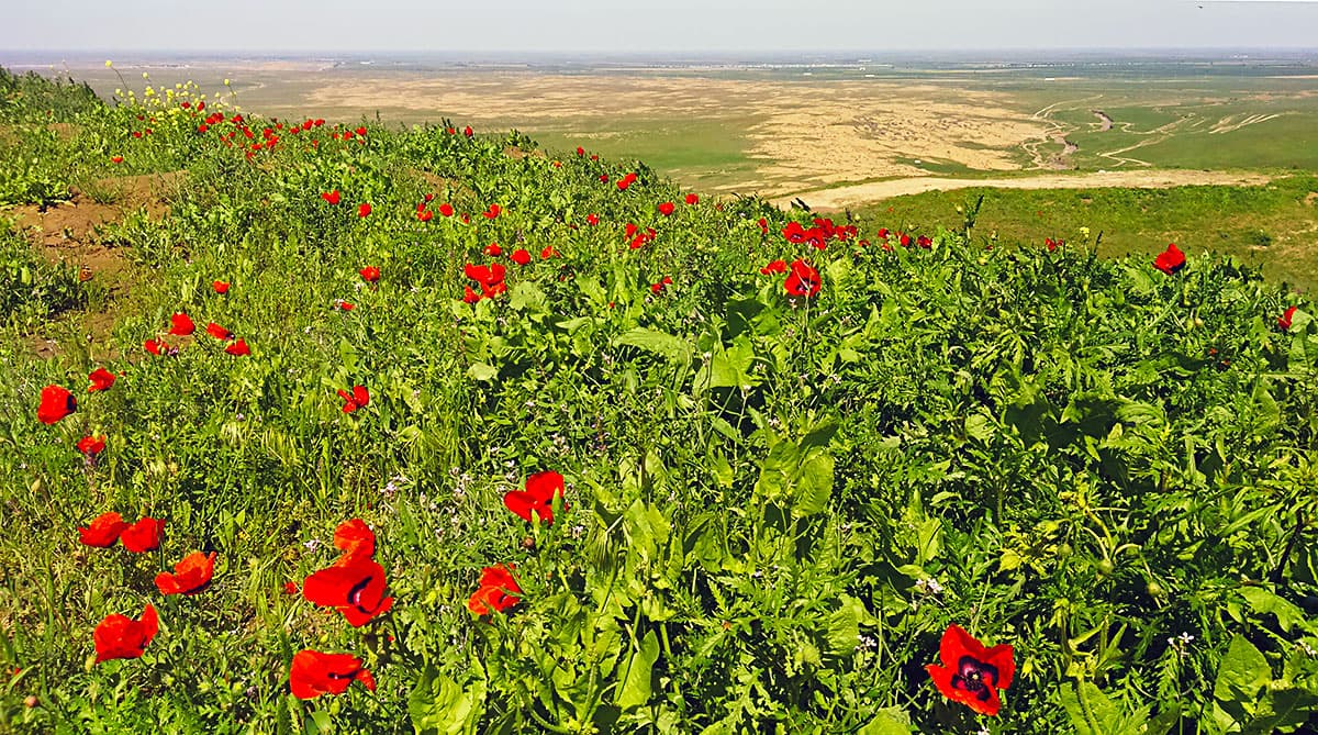 Turkmanistonda havo iliqlasha boshlaydi, biroz yomg‘ir yog‘adi