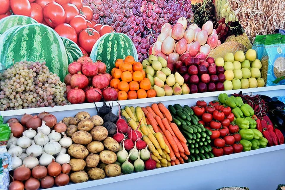 Agricultural Analysis of Lebap Region: A Strategy for Food Abundance