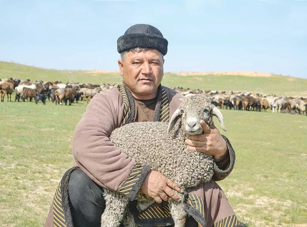 «Tallymerjen» Çiftliğinde Planlananın Üzerinde Kuzu Alındı