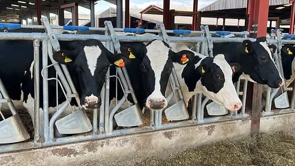 Strategic Investment and Food Security: A New Stage of Growth for "Ýumak" ES