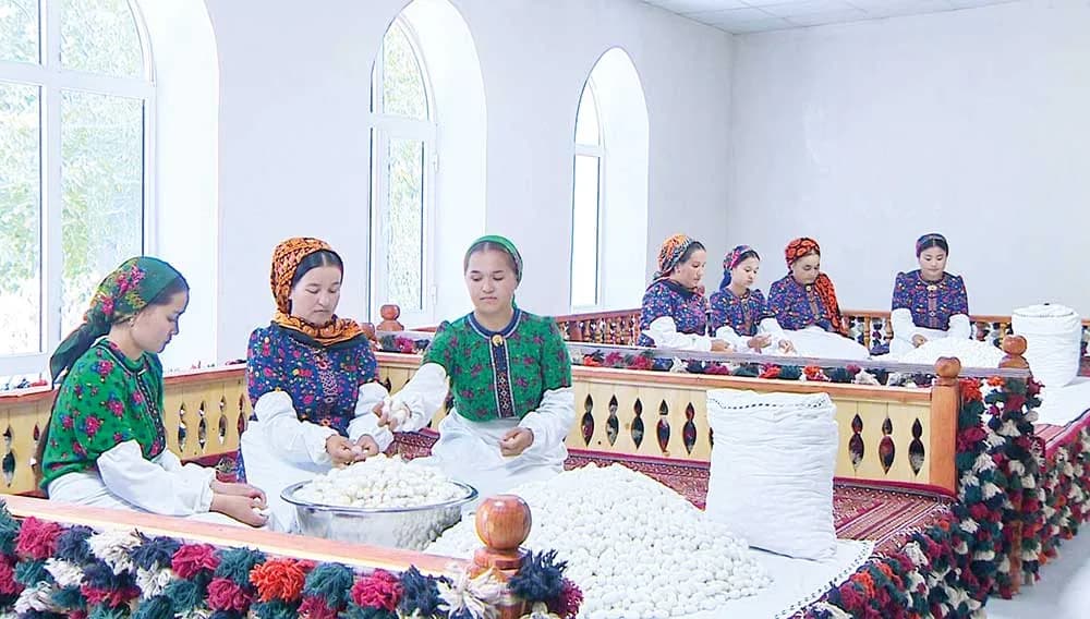 An Exemplary Family in Sericulture: Productive Fields of Guwak Farmers