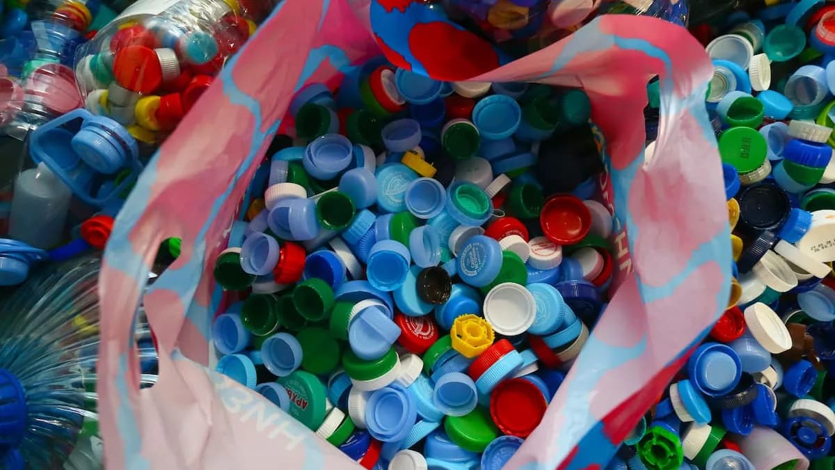 Plastik galyndylaryny bütinleý ýok edýän täze ferment