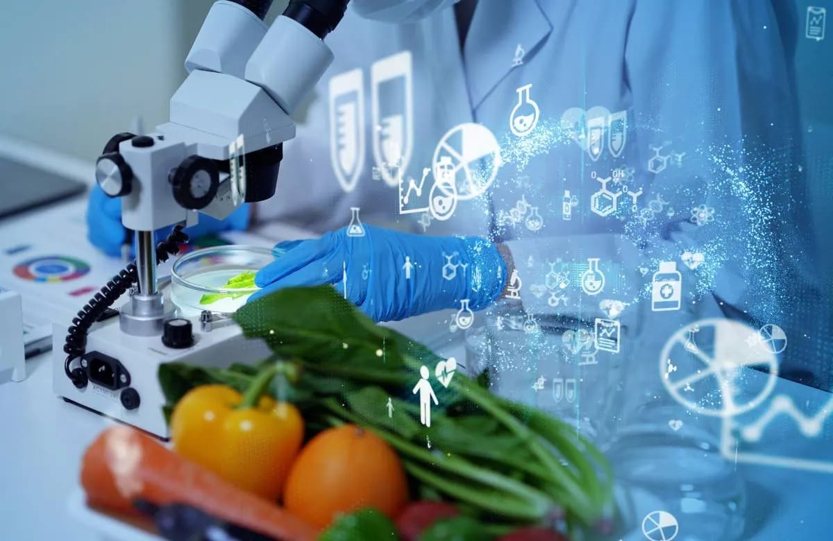 Cooperation in food security to be developed between Turkmenistan and Azerbaijan