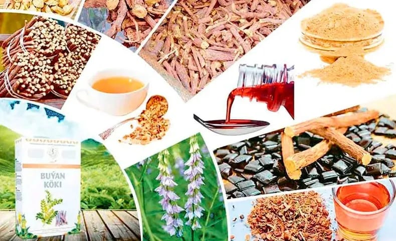 Turkmen Licorice Root Attracts Interest from Hong Kong Businesspeople