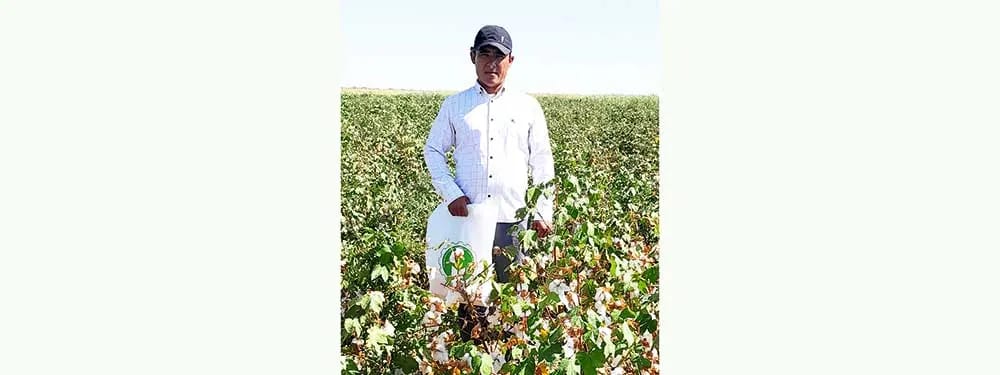 Cotton Harvesting Continues at Full Pace in Balkan Velayat