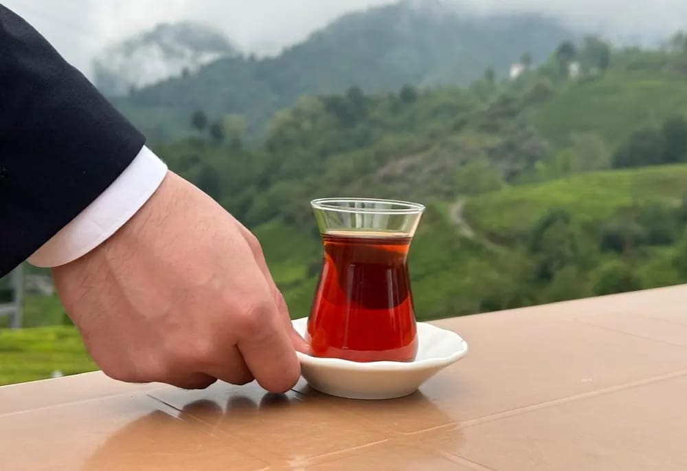 Çay Dünyası: İnsanlığın En Popüler İçeceğini Üreten Beş Ana Ülke