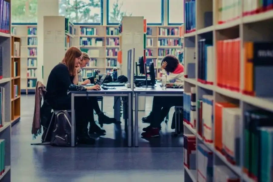 Priority Areas for Training Turkmen Youth in Romanian Higher Education Institutions