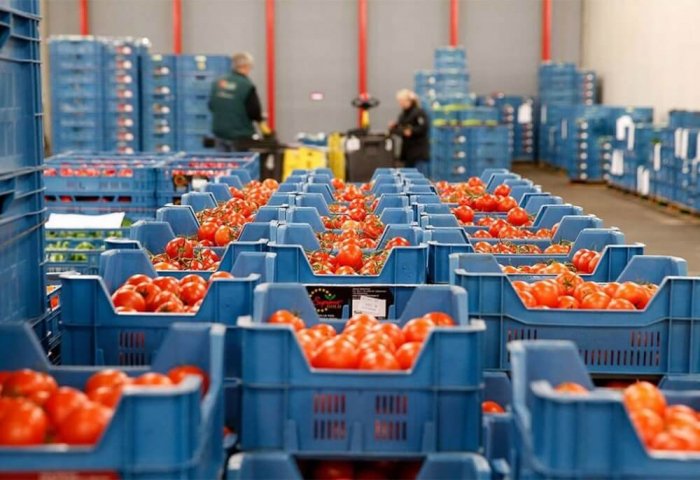 "Arsenal" Company Provides Full Support for the Delivery of Turkmen Tomatoes to Russia