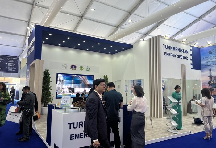 Central Asian countries and Russia to establish an energy working group