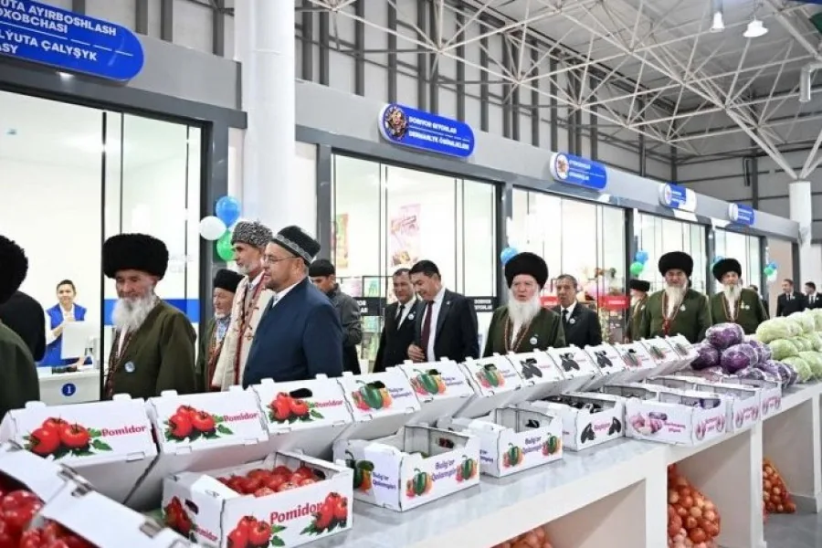 "Shabat" Trade Zone: A Hub for Interregional Logistics and Entrepreneurship