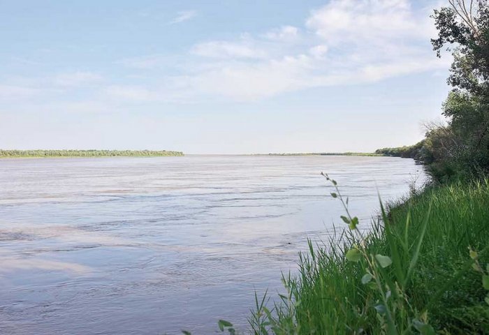 Туркменистан и РЭЦЦА обсудили вопросы управления водными ресурсами Амударьи
