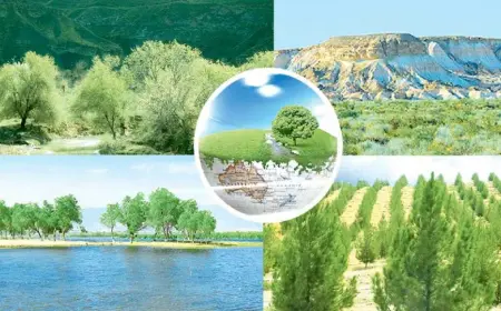 Ekologiýa we daşky gurşawyň abadançylygy