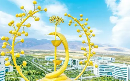 Saglyk ulgamynyň beýik ösüşleri