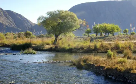 Iň gowy maglumat stendi taslamasy üçin bäsleşik yglan edildi
