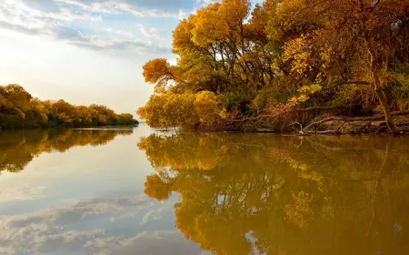 Amyderýa goraghanasy – gözellikler we täsinlikler dünýäsi