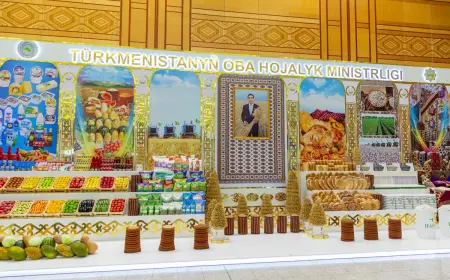 В нашей стране планируется проведение международной выставки ЭКСПО, специализированной в области сельского хозяйства.