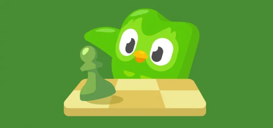 В Duolingo появится курс по шахматам — бета-тест уже запущен