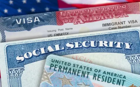 Результаты лотереи Green Card DV-2026 опубликованы