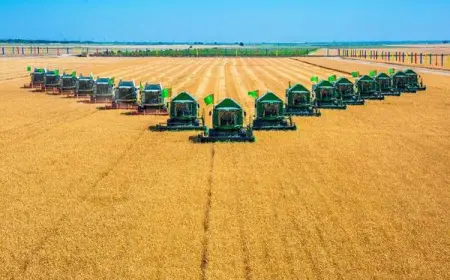 Правила проведения уборки зерна