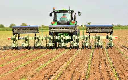 Belent maksatly daýhanlar