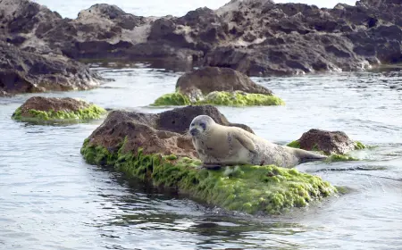 Ogurjaly Island – A Corner of Nature