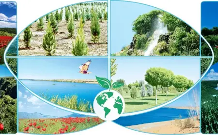 "Turkmenistan and the UN: New Steps Toward Sustainable Development"